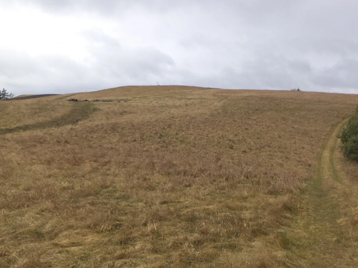 Dražba louky 25345 m²